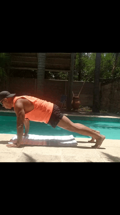 Plancha Frontal